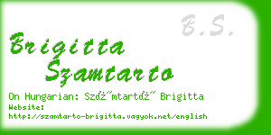 brigitta szamtarto business card